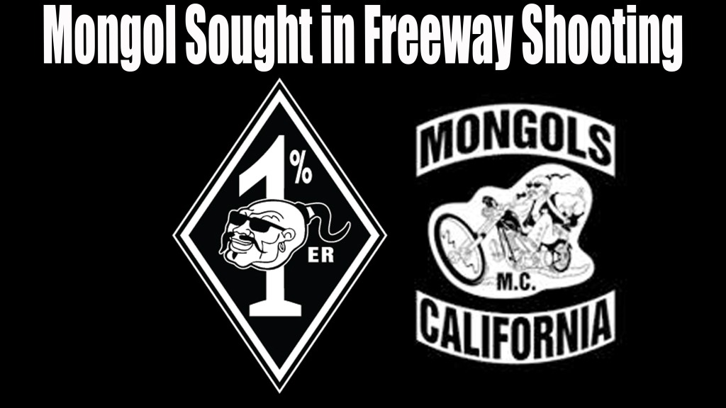 Mongol Sought in Freeway Shooting