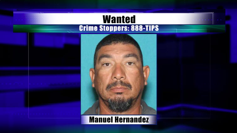 Nine arrested in operation targeting outlaw motorcycle gang members ...