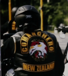 nearly all Comanchero bikies have been arrested.